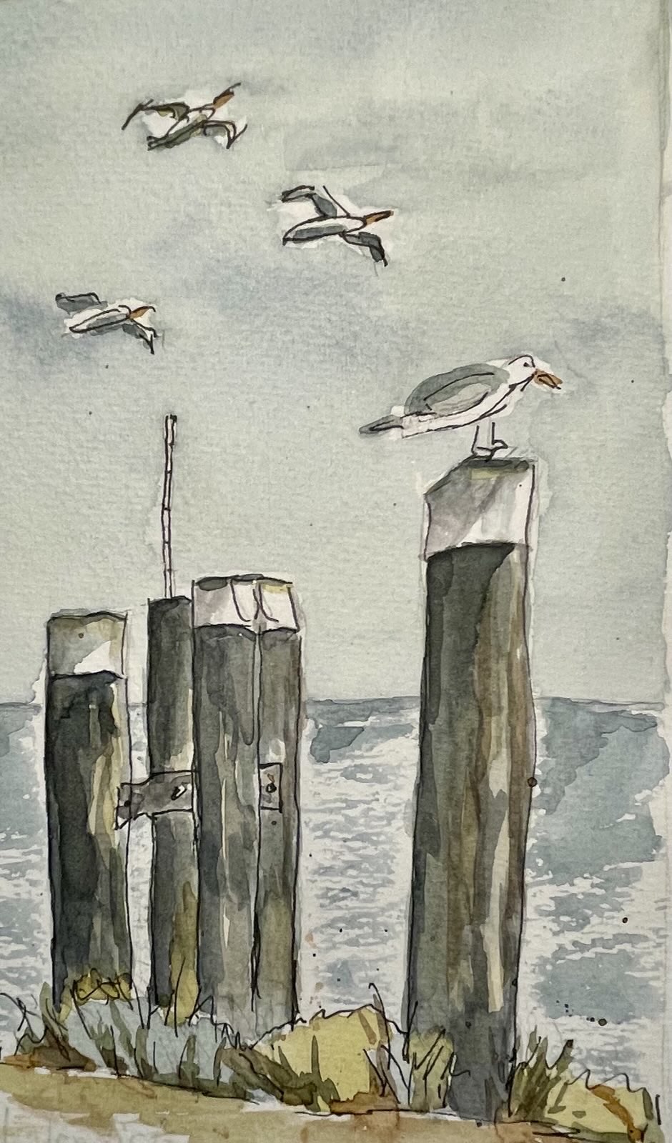 Aquarell Möwen auf Barke